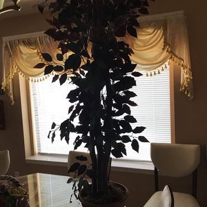 Plastic indoor plant